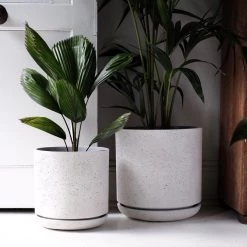 THE PLANT SOCIETY Triko Planter By Papaya 11 THE PLANT SOCIETY Triko Planter By Papaya