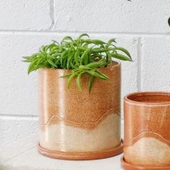 THE PLANT SOCIETY Landscape Rust Planter By Arcadia Scott All Planters