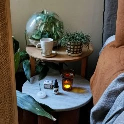 THE PLANT SOCIETY Brule Parfum Oil Burner By Maison Balzac All Homewares