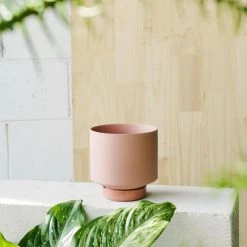 THE PLANT SOCIETY Ochre Collectors Gro Pot By Angus & Celeste Small Planters
