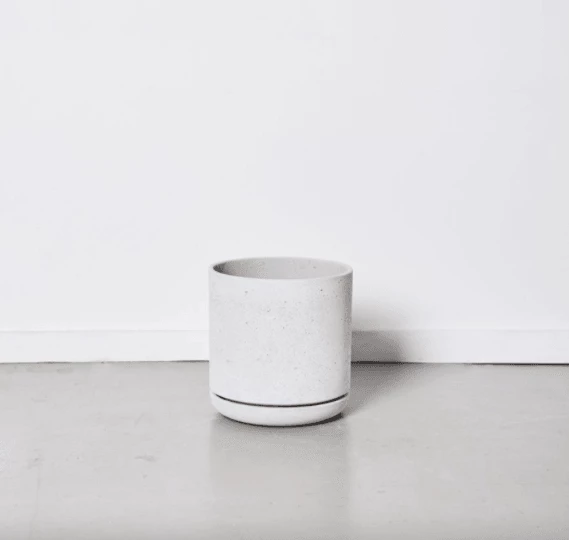THE PLANT SOCIETY Triko Planter By Papaya 5 THE PLANT SOCIETY Triko Planter By Papaya