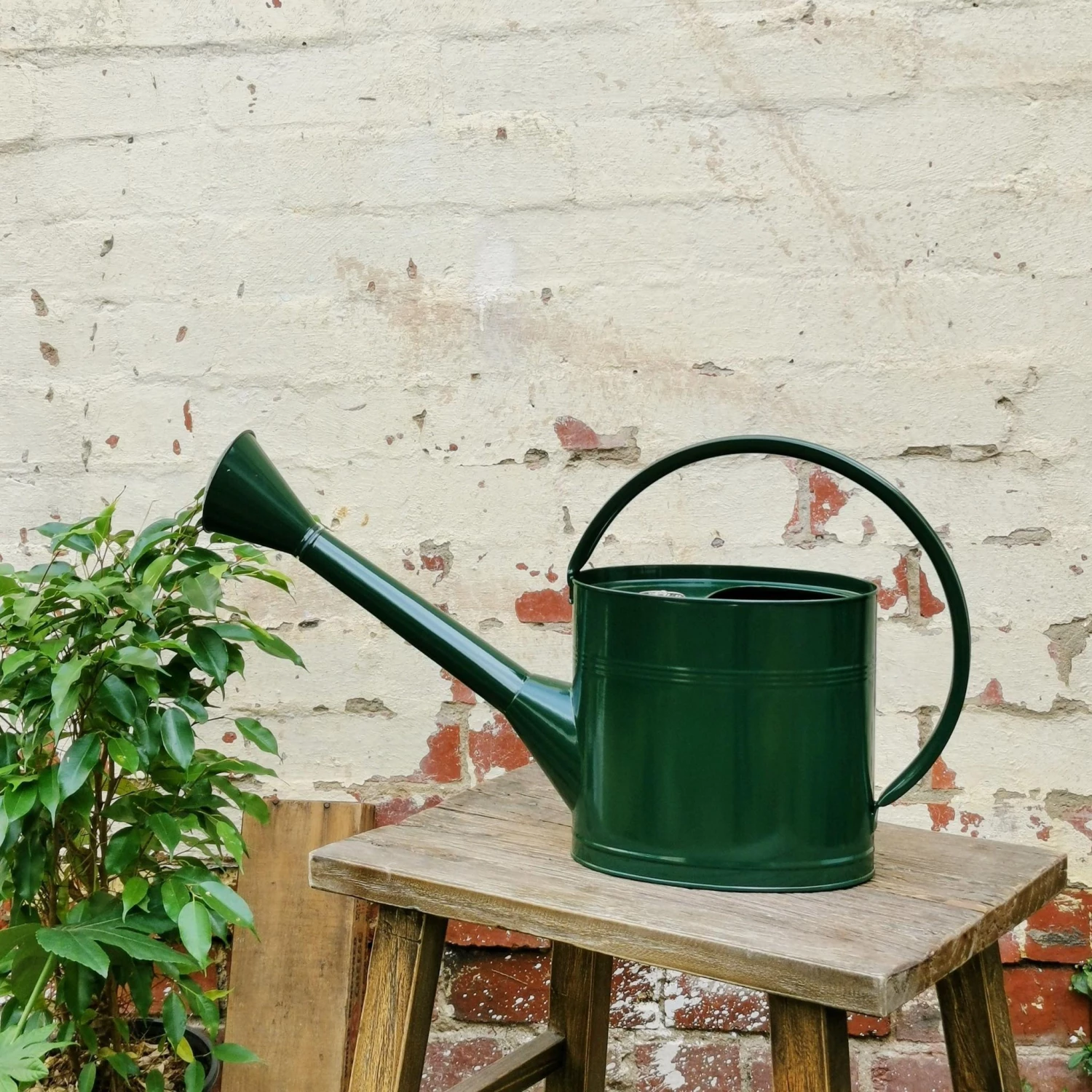 THE PLANT SOCIETY Waterfall Watering Can 5L By Burgon And Ball 9 THE PLANT SOCIETY Waterfall Watering Can 5L By Burgon And Ball