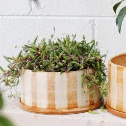 THE PLANT SOCIETY Fat Stripe Rust Planter By Arcadia Scott All Planters 14 THE PLANT SOCIETY Fat Stripe Rust Planter By Arcadia Scott All Planters