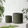 Eucalypt Eyre Planter By The Plant Society