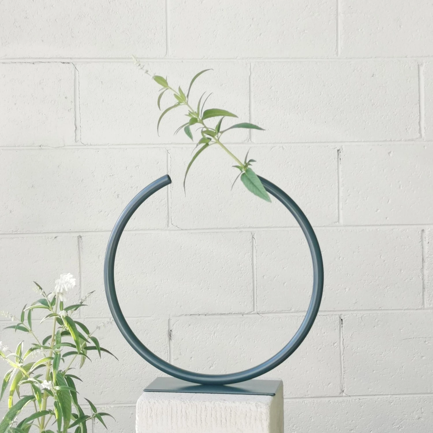 THE PLANT SOCIETY Almost A Circle – Stainless Steel, Medium Vase In Deep Ocean By Anna Varendorff All Homewares 3 THE PLANT SOCIETY Almost A Circle – Stainless Steel, Medium Vase In Deep Ocean By Anna Varendorff All Homewares