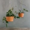 THE PLANT SOCIETY Terracotta Brass Hanging Planter By Leaf & Thread All Planters