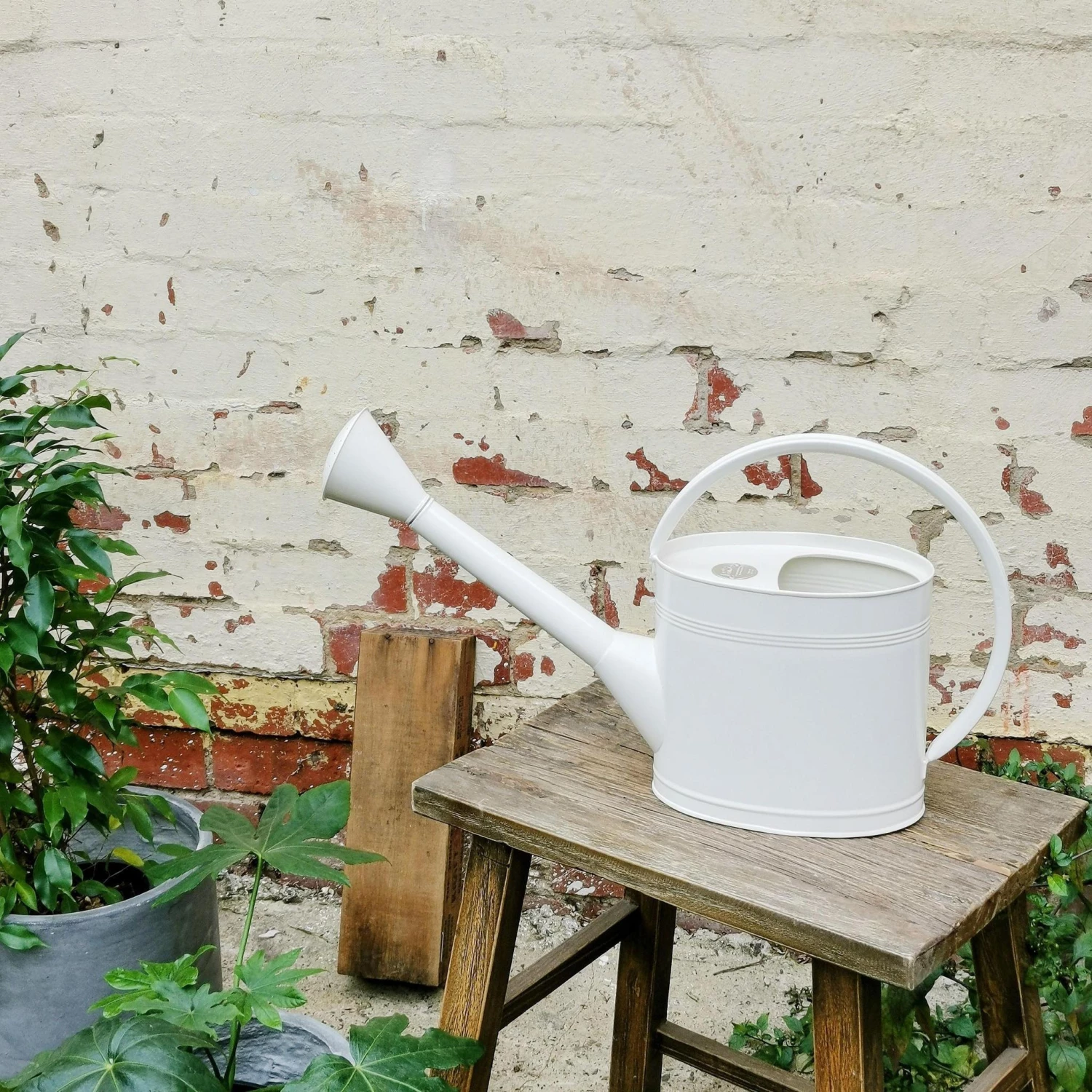 THE PLANT SOCIETY Waterfall Watering Can 5L By Burgon And Ball 8 THE PLANT SOCIETY Waterfall Watering Can 5L By Burgon And Ball