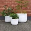 THE PLANT SOCIETY Merri Planter In White Large Planters