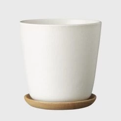 THE PLANT SOCIETY All Planters Bonnie Planter In White By Evergreen Collective