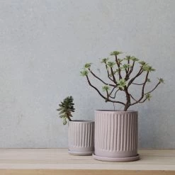 THE PLANT SOCIETY Lilac Fluted Planter By Arcadia Scott All Planters