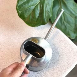 THE PLANT SOCIETY Plant Care Galvanised Watering Can By Haws