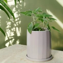 THE PLANT SOCIETY All Planters Lilac Faceted Planter By Arcadia Scott