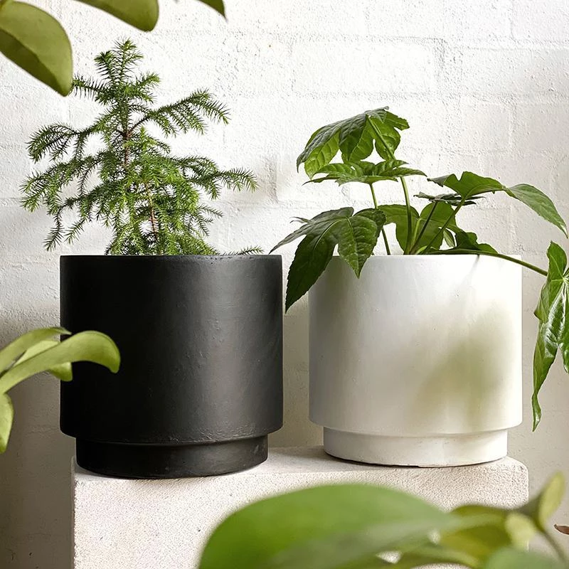THE PLANT SOCIETY High Line Planter In White 4 THE PLANT SOCIETY High Line Planter In White