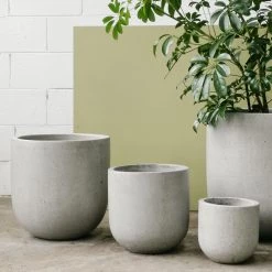 THE PLANT SOCIETY Patio Planter Large Planters 11 THE PLANT SOCIETY Patio Planter Large Planters