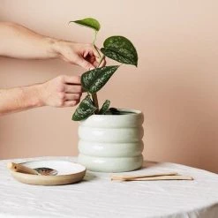 THE PLANT SOCIETY Medium Luna Planter By Evergreen Collective Small Planters