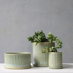 THE PLANT SOCIETY All Planters Light Green Fluted Planter By Arcadia Scott