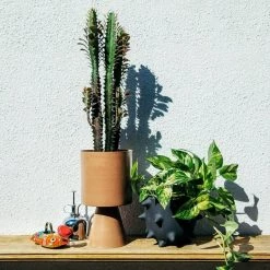 THE PLANT SOCIETY Spike Planter By Buzzby & Fang All Planters