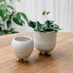 THE PLANT SOCIETY All Planters Straight Feet Planter By Katherine Mahoney