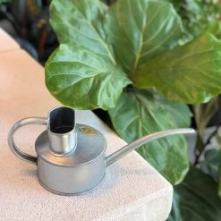 THE PLANT SOCIETY Plant Care Galvanised Watering Can By Haws
