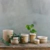 THE PLANT SOCIETY All Planters Desert Planter By Leaf & Thread