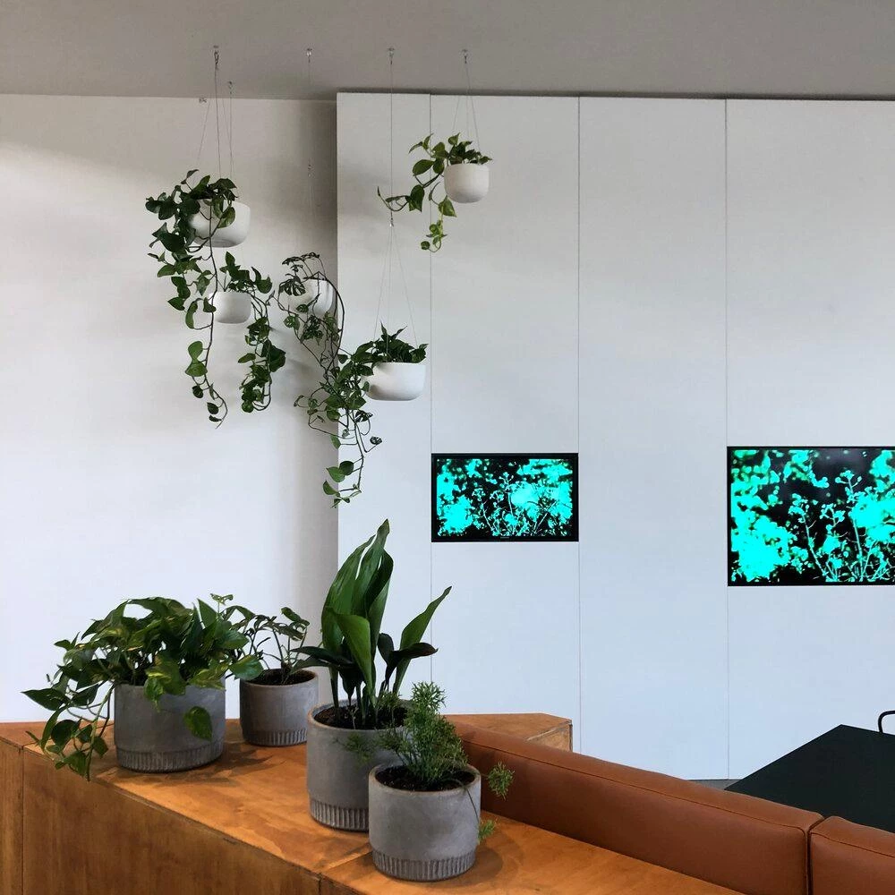 THE PLANT SOCIETY Raw Earth Hanging Planters By Angus & Celeste 4 THE PLANT SOCIETY Raw Earth Hanging Planters By Angus & Celeste