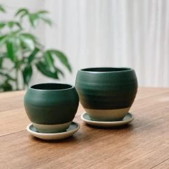 THE PLANT SOCIETY Round Planter By Katherine Mahoney