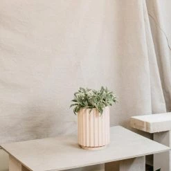 Small Flute Planter By The Plant Society X Capra Designs- Totem Collection -