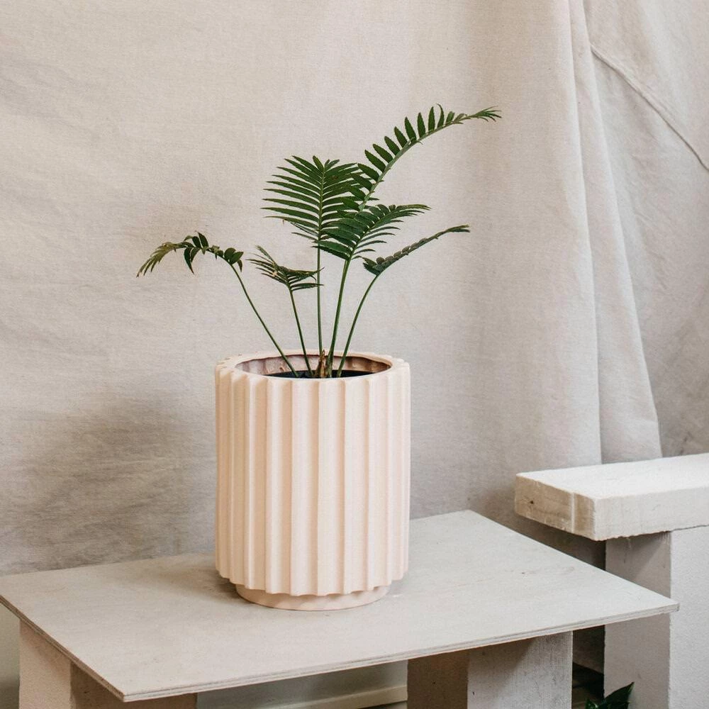 THE PLANT SOCIETY ONLINE OUTPOST Totem Collection By The Plant Society Large Flute Planter By The Plant Society X Capra Designs - Totem Collection - 3 THE PLANT SOCIETY ONLINE OUTPOST Totem Collection By The Plant Society Large Flute Planter By The Plant Society X Capra Designs - Totem Collection -