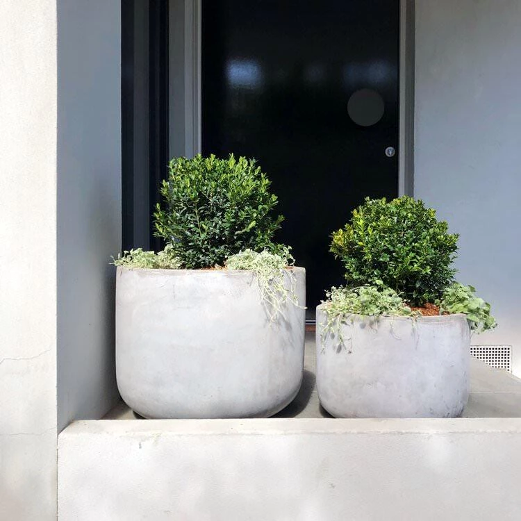 THE PLANT SOCIETY ONLINE OUTPOST Gardeners Planter - White 4 THE PLANT SOCIETY ONLINE OUTPOST Gardeners Planter - White