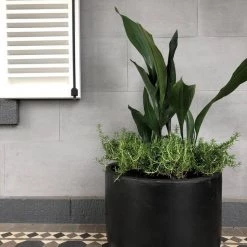 THE PLANT SOCIETY ONLINE OUTPOST Gardeners Planter - White 9 THE PLANT SOCIETY ONLINE OUTPOST Gardeners Planter - White