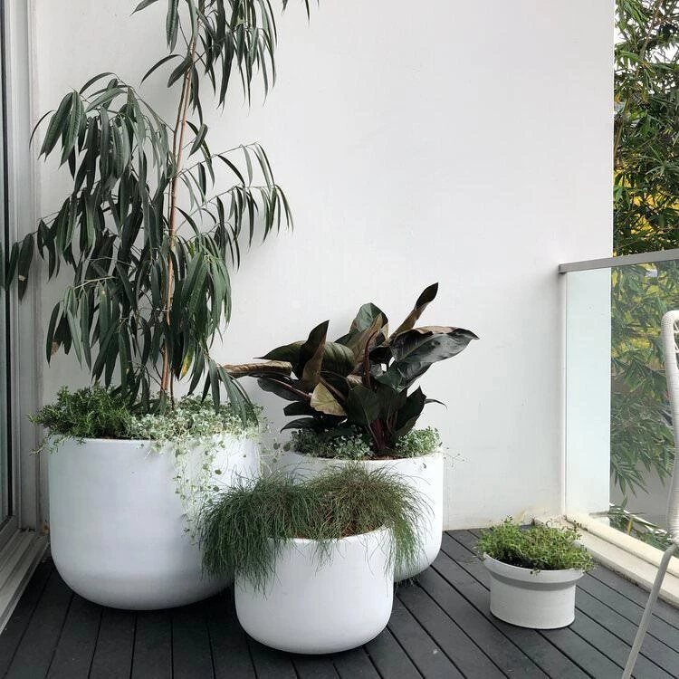 THE PLANT SOCIETY ONLINE OUTPOST Gardeners Planter - White 3 THE PLANT SOCIETY ONLINE OUTPOST Gardeners Planter - White