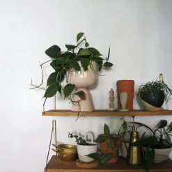 THE PLANT SOCIETY Nappula Planter 23cm By Matti Klenell