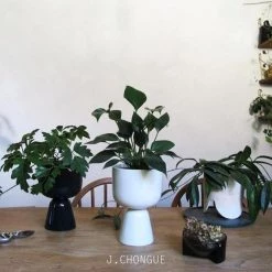 THE PLANT SOCIETY Nappula Planter 23cm By Matti Klenell