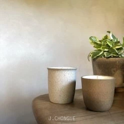 THE PLANT SOCIETY J.CHONGUE Candles 2019 Collection