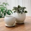 THE PLANT SOCIETY Round Planter By Katherine Mahoney