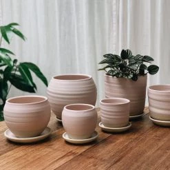 THE PLANT SOCIETY Straight Planter By Katherine Mahoney All Planters