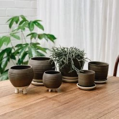 THE PLANT SOCIETY All Planters Straight Feet Planter By Katherine Mahoney