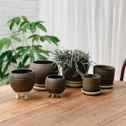 THE PLANT SOCIETY Straight Planter By Katherine Mahoney All Planters