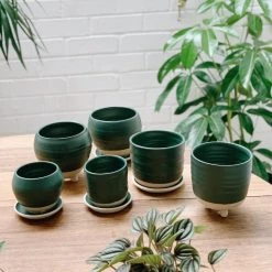 THE PLANT SOCIETY Round Planter By Katherine Mahoney
