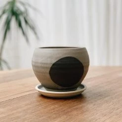 THE PLANT SOCIETY Round Planter By Katherine Mahoney