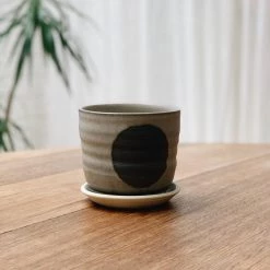 THE PLANT SOCIETY Straight Planter By Katherine Mahoney All Planters