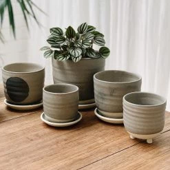 THE PLANT SOCIETY All Planters Straight Feet Planter By Katherine Mahoney