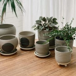 THE PLANT SOCIETY Round Planter By Katherine Mahoney