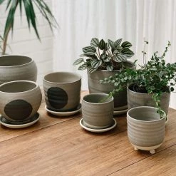 THE PLANT SOCIETY Straight Planter By Katherine Mahoney All Planters