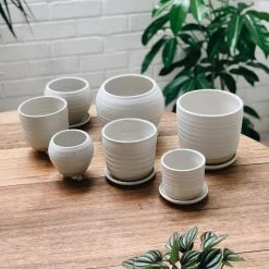 THE PLANT SOCIETY All Planters Straight Feet Planter By Katherine Mahoney