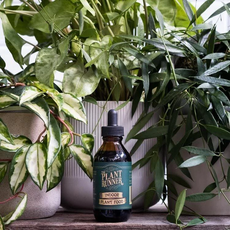 THE PLANT SOCIETY Plant Care Liquid Indoor Plant Food By Plant Runner 5 THE PLANT SOCIETY Plant Care Liquid Indoor Plant Food By Plant Runner