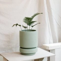 Low Pier Planter By The Plant Society X Capra Designs- Totem Collection - Totem Collection By The Plant Society