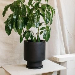 Totem Collection By The Plant Society Low Tower Planter By The Plant Society X Capra Designs- Totem Collection -