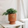 Totem Collection By The Plant Society Low Tower Planter By The Plant Society X Capra Designs- Totem Collection -