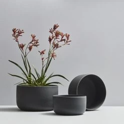 THE PLANT SOCIETY Esko Planter In Black Medium Planters